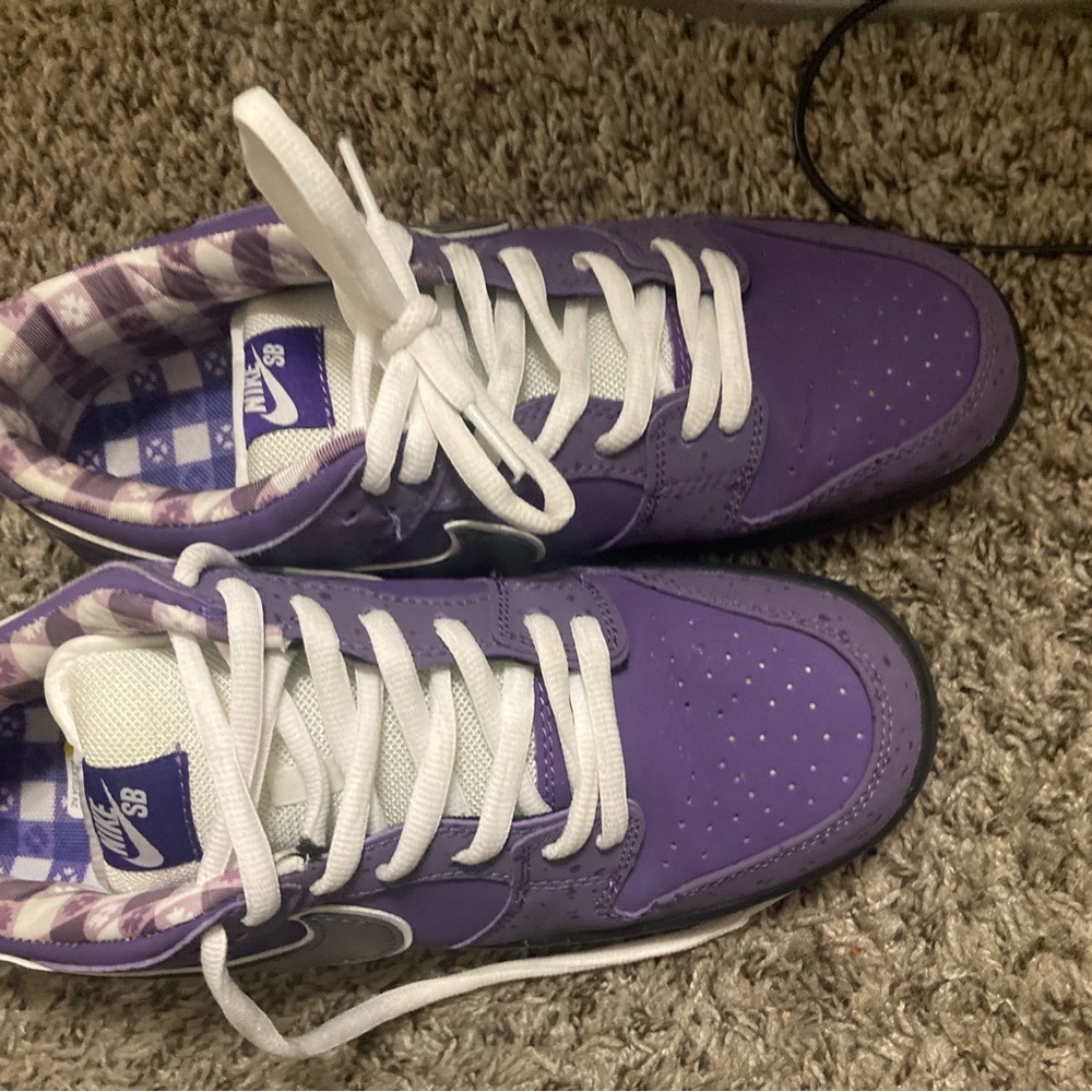 Nike SB purple lobster 9.5 Like new - Picture 6 of 8
